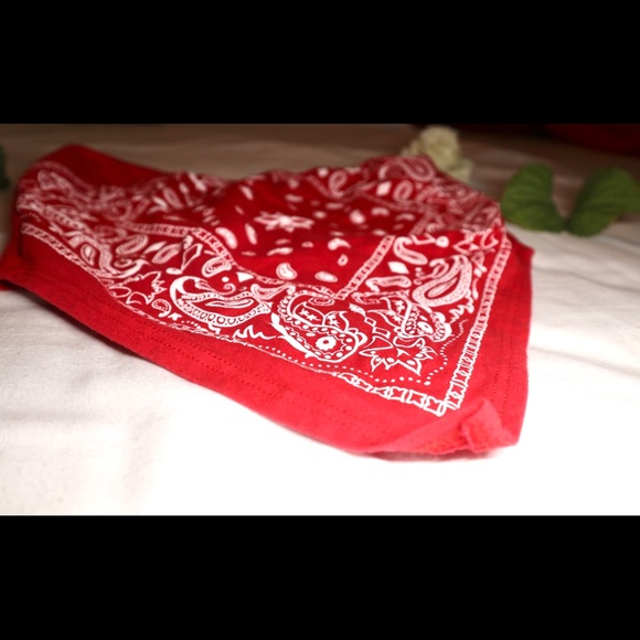 Bandana Tube Top - Picture 2 of 4